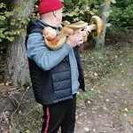 Przystanek Dluzek