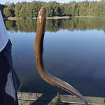 Przystanek