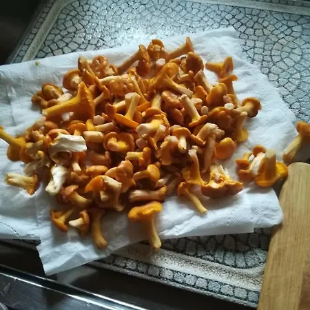 Przystanek Dluzek