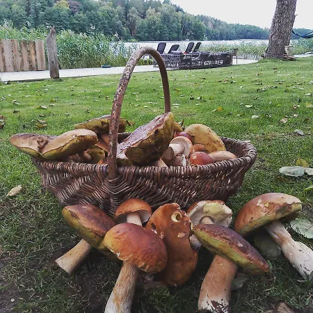 Przystanek * Dluzek