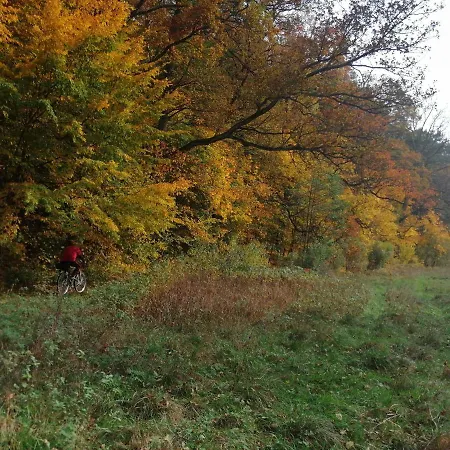 Przystanek Dluzek