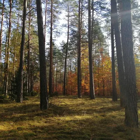 Przystanek *
