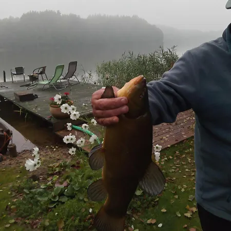 Holiday home Przystanek