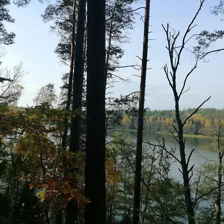 Przystanek * Dluzek