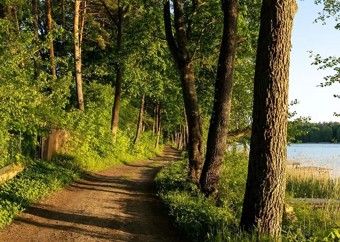 Przystanek Dom wakacyjny Dluzek