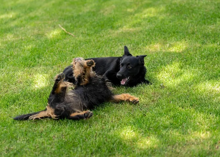 Przystanek Dom wakacyjny *