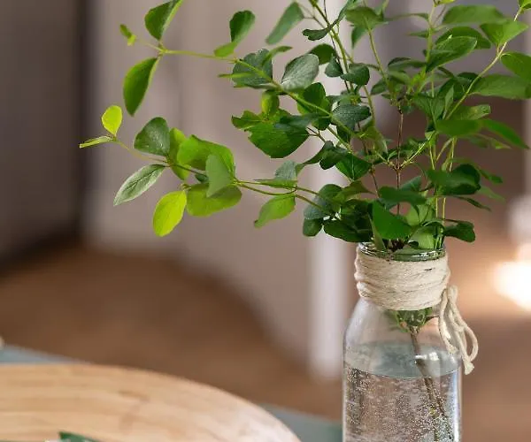 Przystanek Dom wakacyjny Dluzek