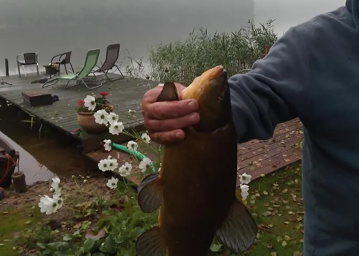 Dom wakacyjny Przystanek