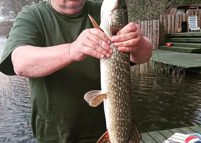 Przystanek Dom wakacyjny